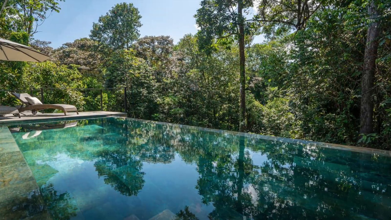 The pool looking into the rainforest